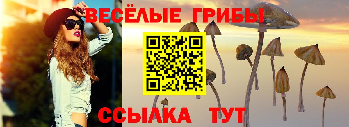 Псилоцибиновые грибы Psilocybe  Вход с VPN  Орск  Галлюциногенные грибы Psilocybe 
